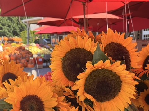 Comfort Foods for Fall: How the Seasons Shape Our&nbsp;Cravings